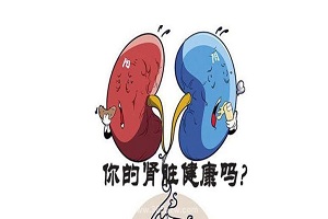 郑州看肿瘤中医馆哪家好?如何正确认识肾癌