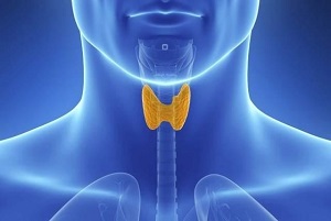 郑州看肿瘤有名的中医师:甲状腺癌是什么原因导致的