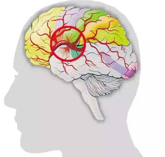 1661411766108721.jpg 1661411766108721.jpg