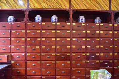 中医解析肾癌的病因病机